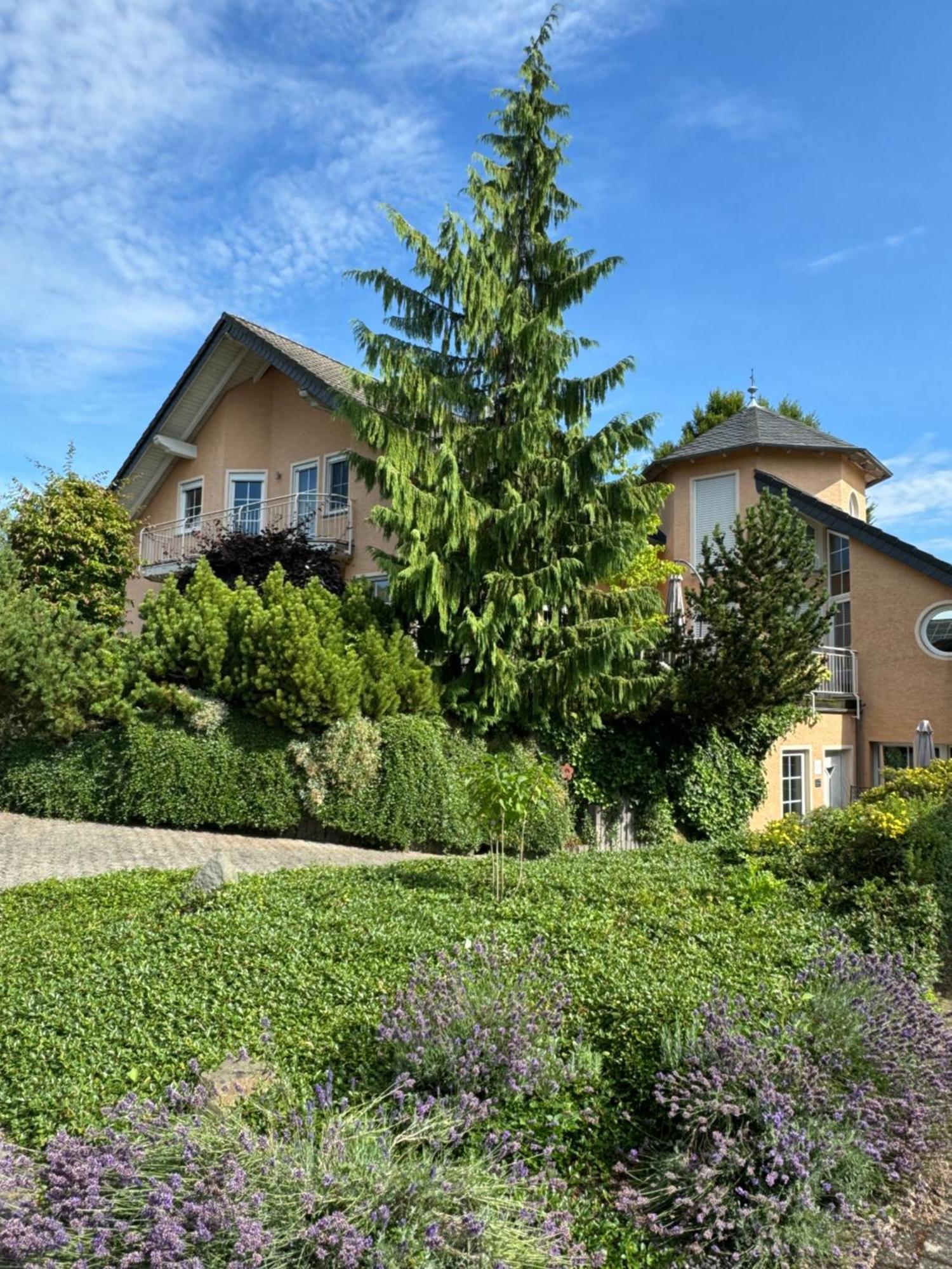 Ferienwohnung Feiden Eifel-Mosel Lounge Greimersburg エクステリア 写真